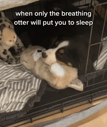 My Breathing Otter™